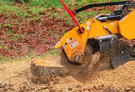 Best Fruit Tree Pruning  in Smith Valley, NV